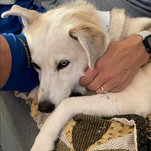 Meet your Posher, Teresa